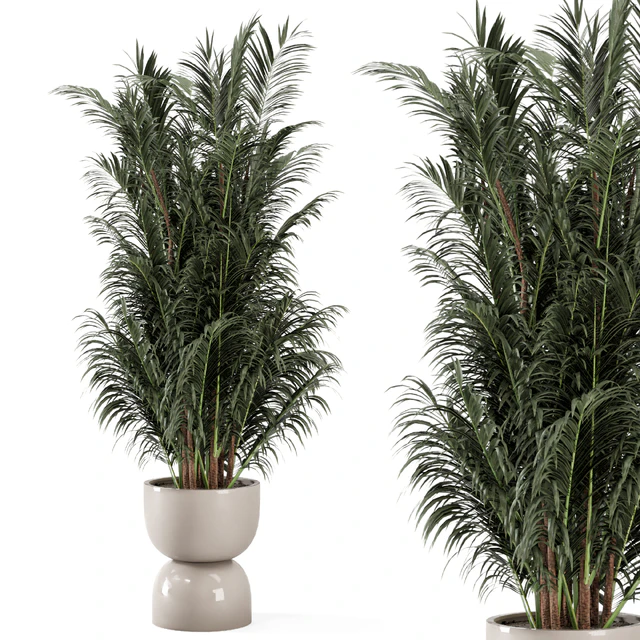 Indoor Plants  in rusty Concrete Pot - Set 352 — Скачать