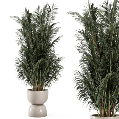 Indoor Plants  in rusty Concrete Pot - Set 352 — Вид 5