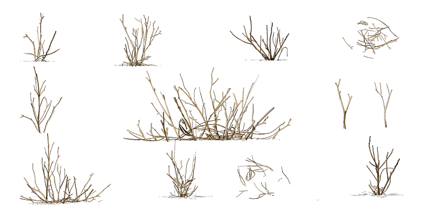 dead shrubs 001 — Descargar