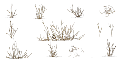 dead shrubs 001 — Descargar