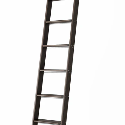 Ladder for home library — Вид 2