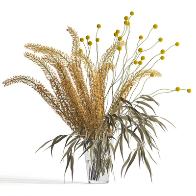 Eremurus & eucalyptus & craspedia bouquet — Ver 1