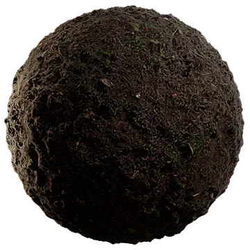 moist lakebed growth 006 — Descargar
