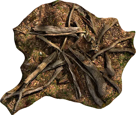 broken tree branches 001 — Descargar