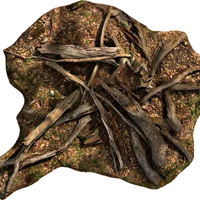 broken tree branches 001 — Descargar