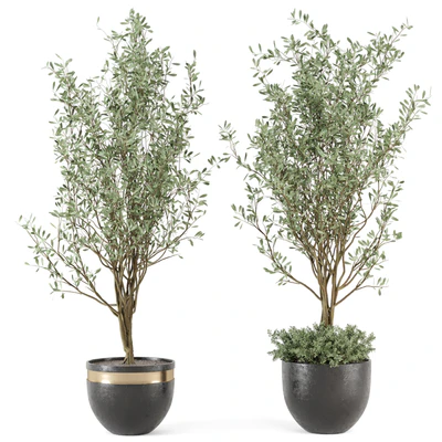 Outdoor bush and Tree in rusty Concrete Pot - Set 204 — Ver 1