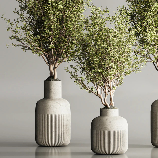 Indoor Plant Set 107 — Descargar