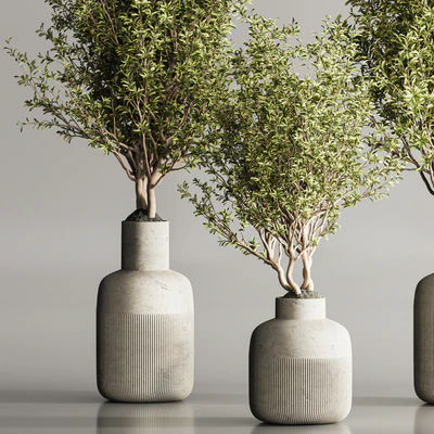 Indoor Plant Set 107 — Ver 5