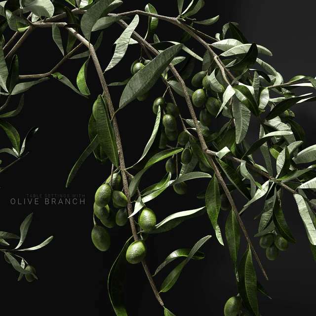 Table settings with olive branch — Descargar