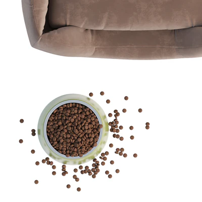 Pet bed — Ver 4