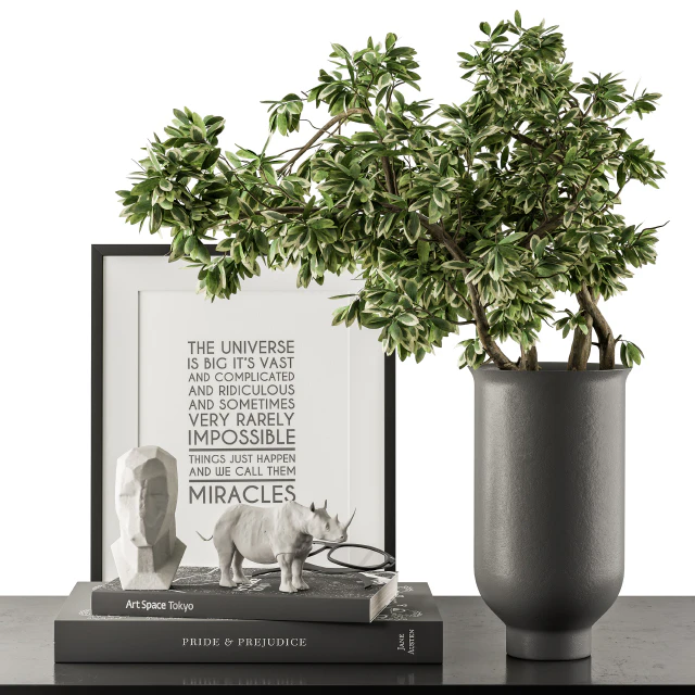 Black and Green Decorative Set with Plants - Set 77 — Descargar