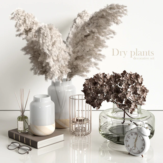 Decorative set with dry plants 4 — Descargar
