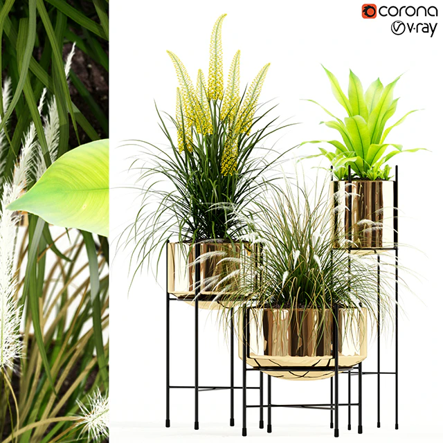 Plants collection 146 AGATA — Descargar