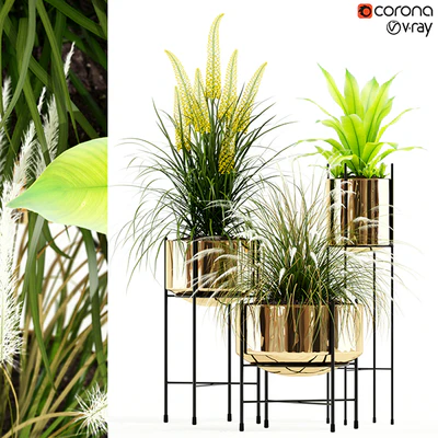 Plants collection 146 AGATA — Ver 1