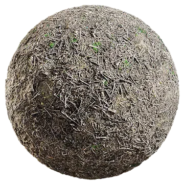forest floor 044 — Download