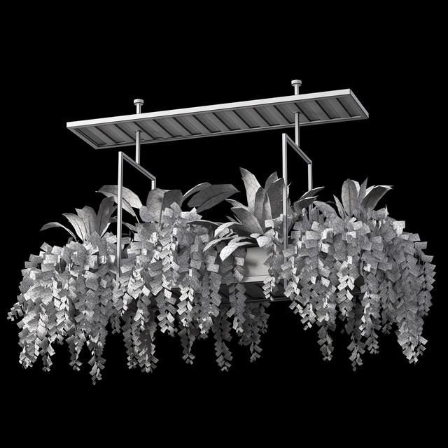 Indoor plant set 05-Hanging plants — Descargar
