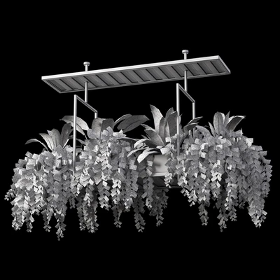 Indoor plant set 05-Hanging plants — Ver 3