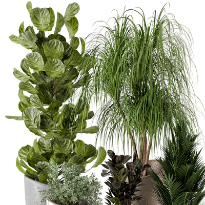 Indoor Plants in rusty Concrete Pot - Set 240 — Ver 3