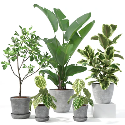 Set of plants 10 — Ver 1
