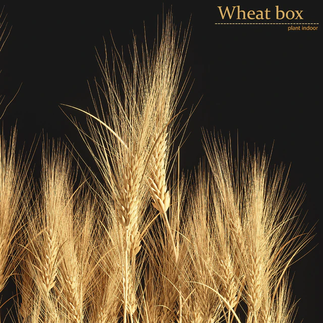 Wheat Box — Скачать