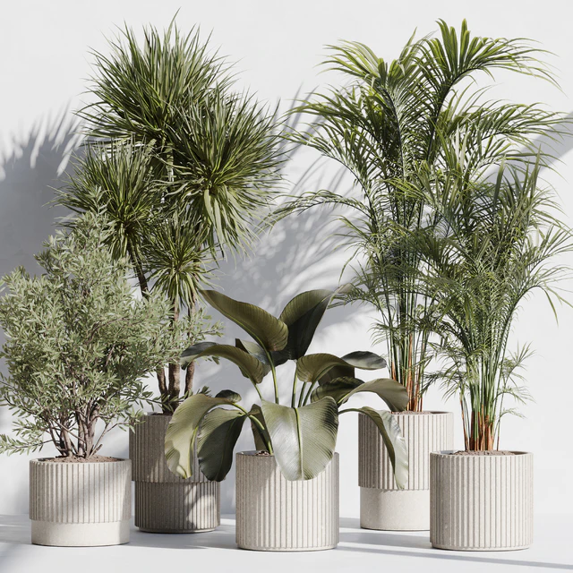 indoor plant set 72 — Descargar