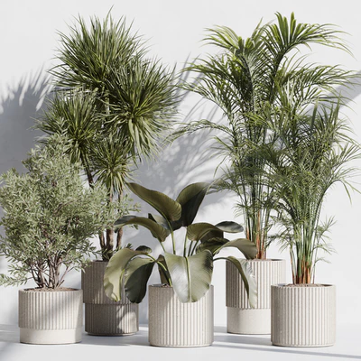 indoor plant set 72 — Ver 1