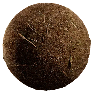 nordic forest ground pine root fine 001 — Descargar