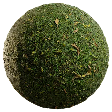 wild grass 048 — Descargar