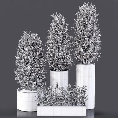 Outdoor Plants 01 — Вид 4