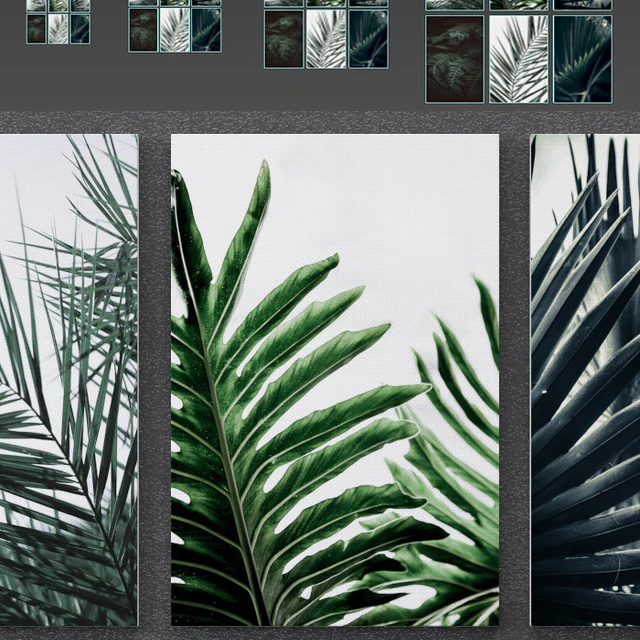 Tropical Set-01 Framed — Скачать