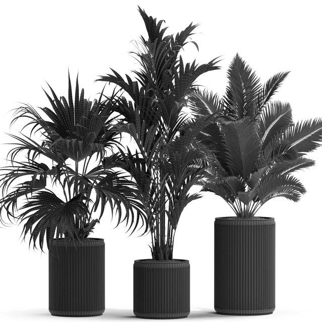Plants collection 539 — Скачать
