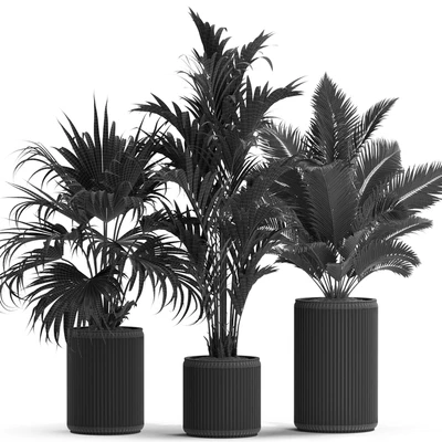 Plants collection 539 — Вид 3