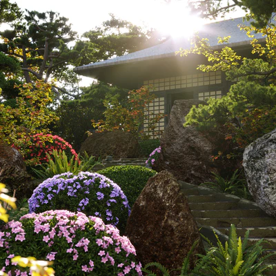 Rhododendron 03 — Вид 2