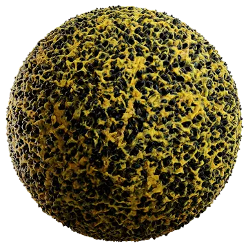 passion fruit seeds 001 — Скачать