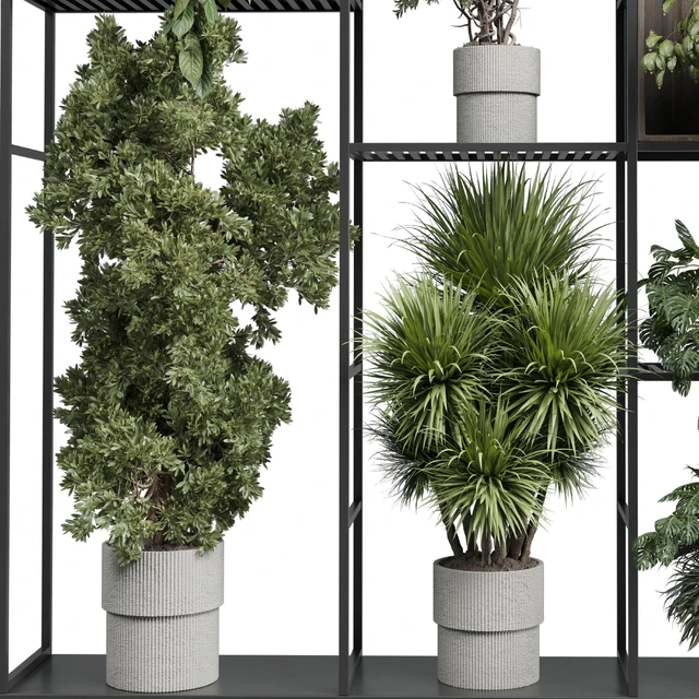 Standing metal shelf with a set of plants in wooden and metal boxes 419 — Скачать