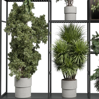 Standing metal shelf with a set of plants in wooden and metal boxes 419 — Вид 3