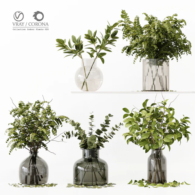 Collection Indoor Plants 020 — Descargar