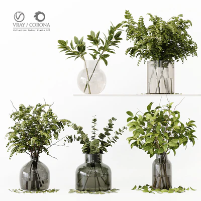 Collection Indoor Plants 020 — Ver 1