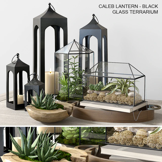 Pottery barn GLASS TERRARIUM — Скачать