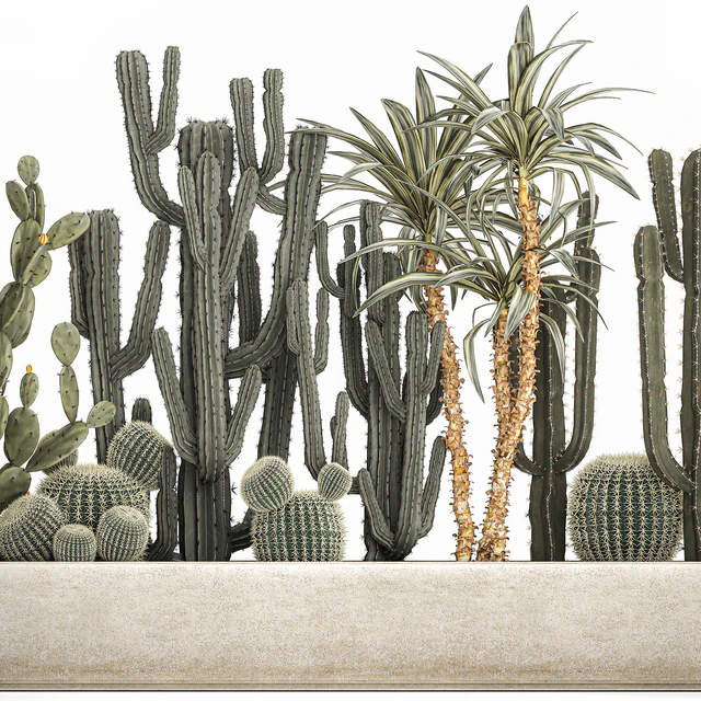 Collection of desert plants in a vase of cacti, prickly pear, Dracaena, carnegie, echinocactus, garden. Set 1096. — Descargar