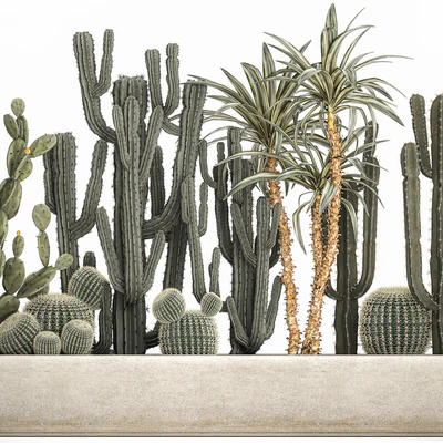 Collection of desert plants in a vase of cacti, prickly pear, Dracaena, carnegie, echinocactus, garden. Set 1096. — Ver 5