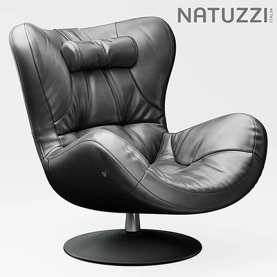 Armchair natuzzi Sound — Ver 1