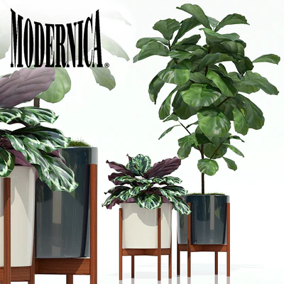 Plants collection 69 Modernica pots — Ver 1