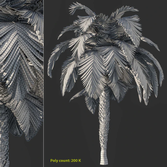 Palm tree vol1 — Descargar