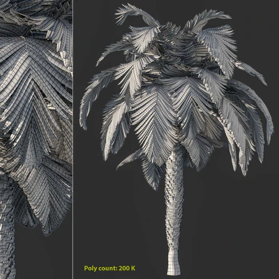 Palm tree vol1 — Ver 3