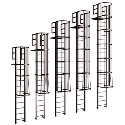 Пожарная лестница / Элементы пожарной безопасности / Roof ladder — Вид 3