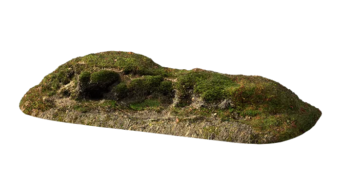 nordic forest ledge moss medium 001 — Скачать