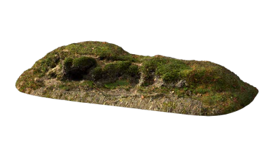 nordic forest ledge moss medium 001 — Скачать