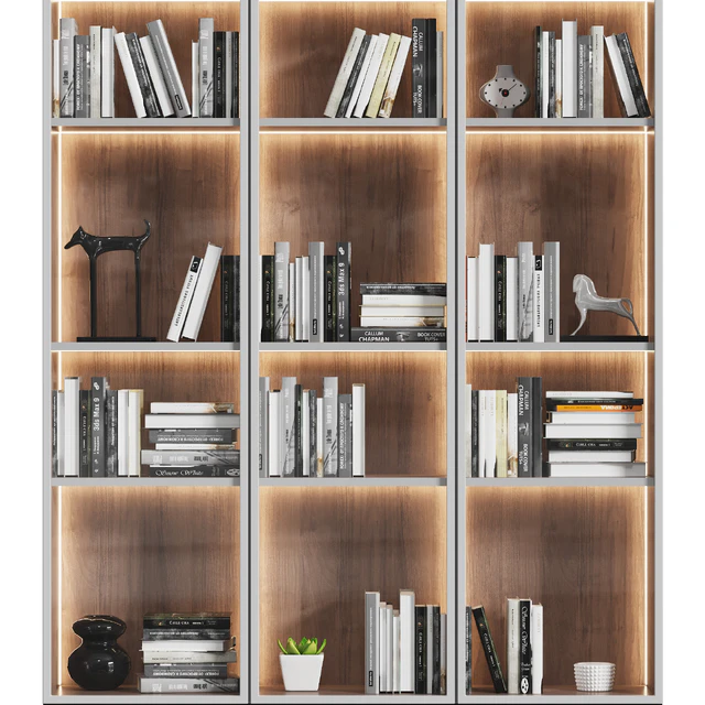 Showcase cabinet with books — Descargar
