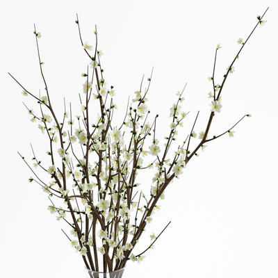 Branches in a vase — Ver 3